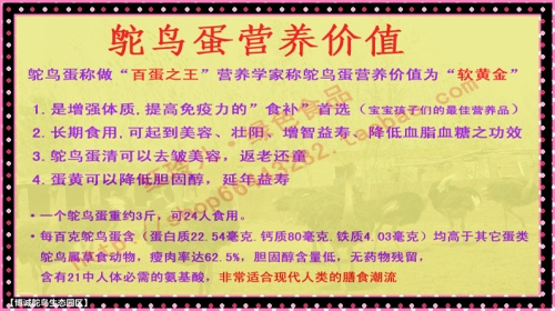 2025年今晚澳门特马，精选解析，实用释义解释落实