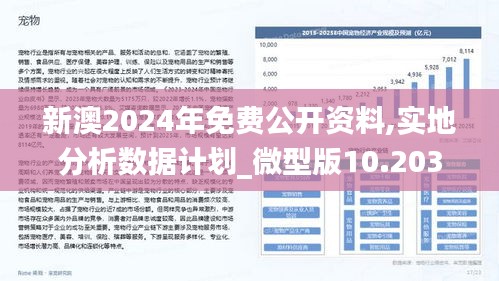 2025新澳今晚资料，精选解析，词语释义解释落实